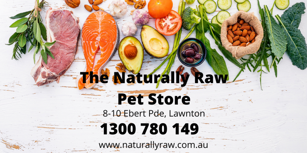 Our Supporters Empower Assistance Dogs